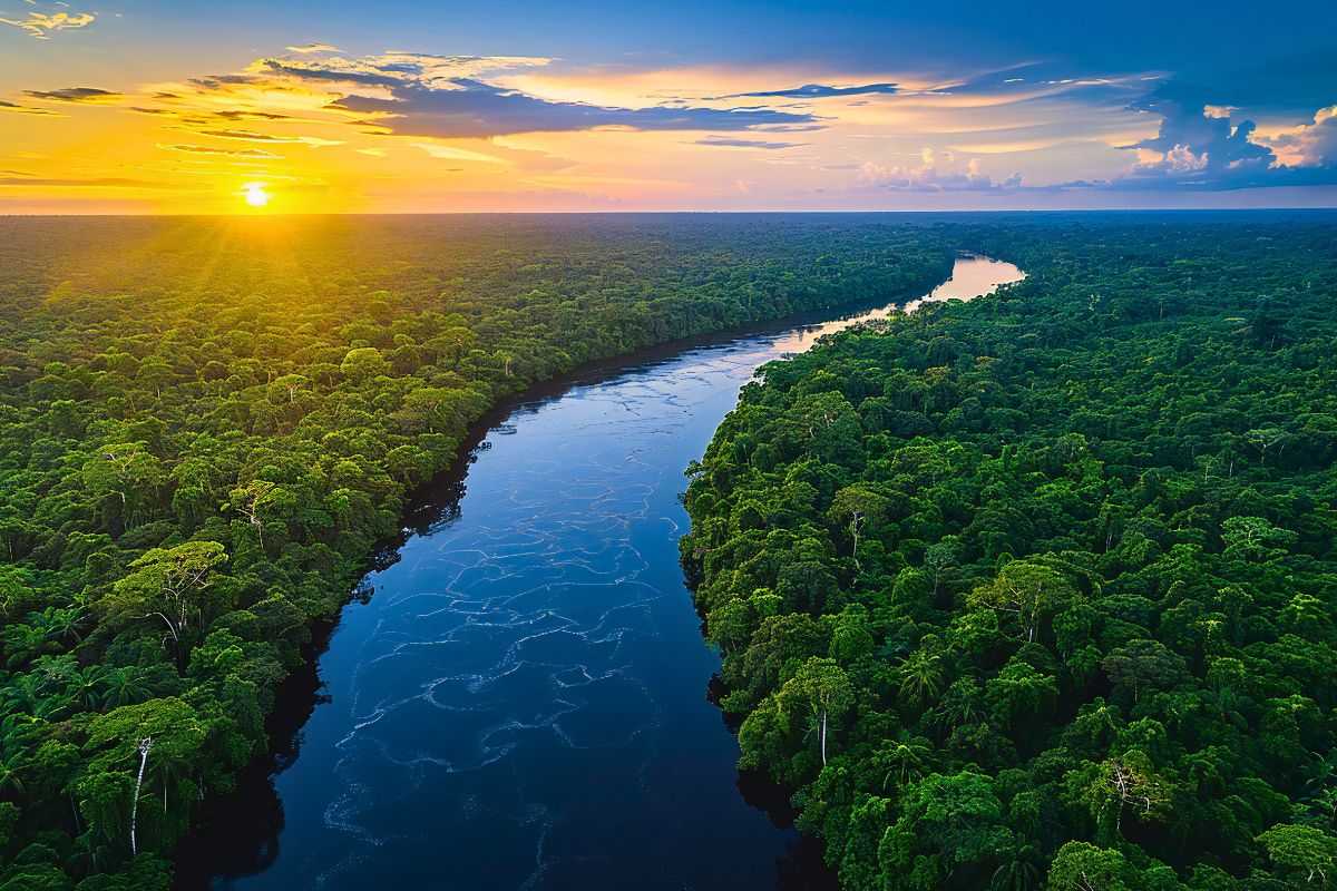 As maiores cidades do estado do Amazonas