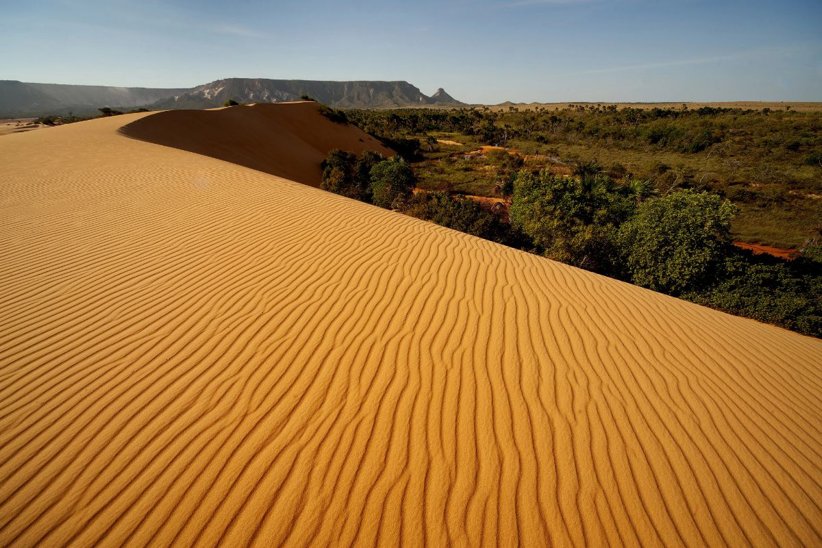 Tocantins: História, Desenvolvimento e Riquezas Naturais do Mais Jovem Estado Brasileiro