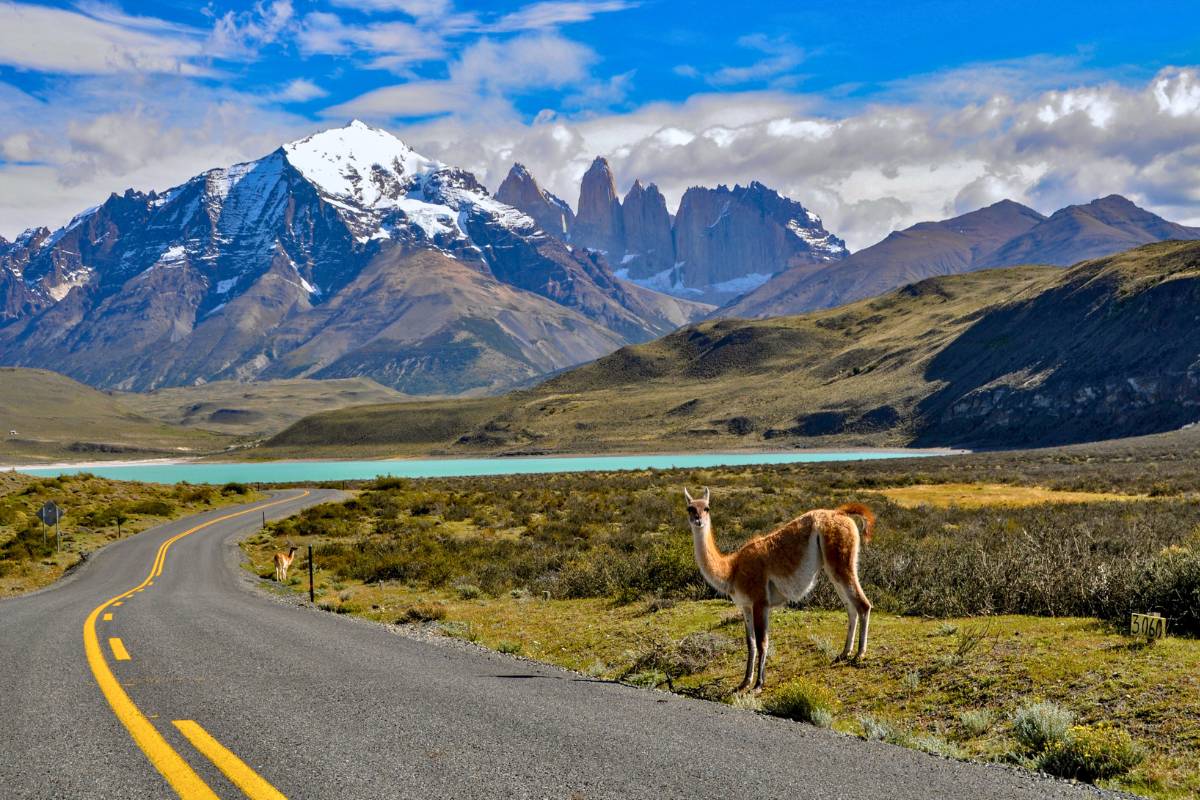 Patagônia: O Último Paraíso Selvagem da América do Sul