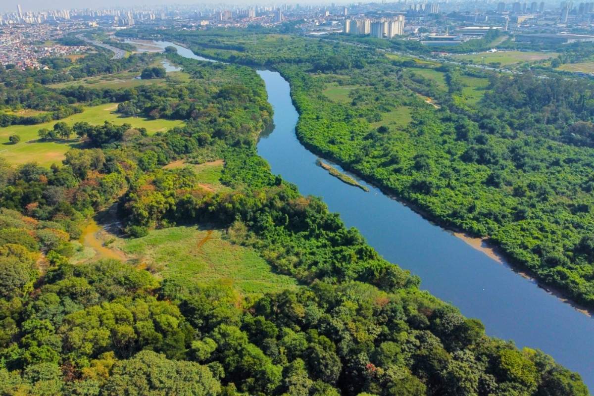 Rio Tietê: Do Caminho dos Bandeirantes ao Pulmão Econômico de São Paulo